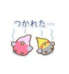 やさしいインコちゃんず【春～夏】（個別スタンプ：15）