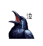 ドット絵 カラス 日常会話 40種（個別スタンプ：13）