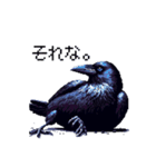 ドット絵 カラス 日常会話 40種（個別スタンプ：27）