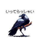 ドット絵 カラス 日常会話 40種（個別スタンプ：28）