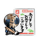 犬と猫。のスタンプ（個別スタンプ：4）