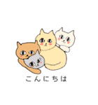 猫と人と日常会話（個別スタンプ：5）