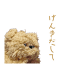 もちたと仲間たち（個別スタンプ：33）