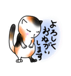 猫ちゃんのお言葉①（個別スタンプ：14）