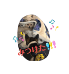 Nわんこ かん太（個別スタンプ：10）