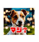 "ワンダフルワンズ: ほのぼの犬生活"（個別スタンプ：2）