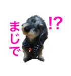 りゅうすたんぷ。（個別スタンプ：2）