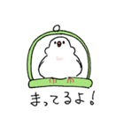 もちもち文鳥ぽこ（個別スタンプ：25）