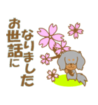 わんこ日和(ダックスフント)①-toYvu-（個別スタンプ：29）