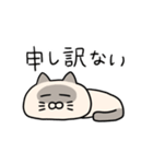 ぽっちゃりシャム猫1(よく使う言葉)（個別スタンプ：5）