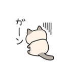 ぽっちゃりシャム猫1(よく使う言葉)（個別スタンプ：27）