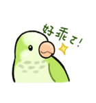 オキナインコ抹茶の日常（個別スタンプ：9）