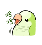 オキナインコ抹茶の日常（個別スタンプ：25）