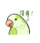 オキナインコ抹茶の日常（個別スタンプ：28）