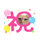 まつ毛ぱっちりはなちゃん✿（個別スタンプ：1）
