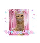まつ毛ぱっちりはなちゃん✿（個別スタンプ：4）