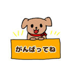 うちの犬、チワプー（個別スタンプ：14）