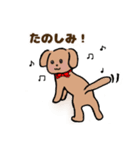 うちの犬、チワプー（個別スタンプ：15）