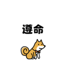 柴犬さんの台湾華語会話（個別スタンプ：1）