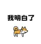 柴犬さんの台湾華語会話（個別スタンプ：2）