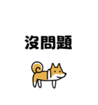 柴犬さんの台湾華語会話（個別スタンプ：3）