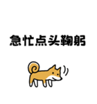 柴犬さんの台湾華語会話（個別スタンプ：5）