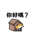 柴犬さんの台湾華語会話（個別スタンプ：7）