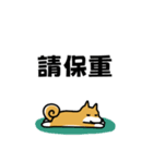 柴犬さんの台湾華語会話（個別スタンプ：8）