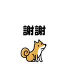 柴犬さんの台湾華語会話（個別スタンプ：12）