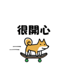 柴犬さんの台湾華語会話（個別スタンプ：24）