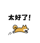 柴犬さんの台湾華語会話（個別スタンプ：29）