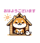 我が家の柴犬さん♡♡（個別スタンプ：1）