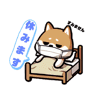 我が家の柴犬さん♡♡（個別スタンプ：8）