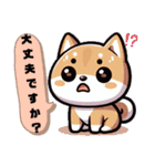 我が家の柴犬さん♡♡（個別スタンプ：9）