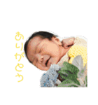 おたからすたんぷ3（個別スタンプ：2）