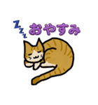 猫にゃん あいさつ（個別スタンプ：7）