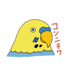 ブサインコスタンプ（個別スタンプ：14）