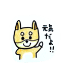 可愛い柴犬スタンプ2⭐️介護⭐️コタロッチ（個別スタンプ：9）