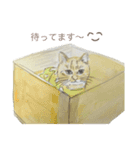 セコスタンプ❷（個別スタンプ：7）