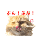 レオ君のペロッとスタンプ（個別スタンプ：10）
