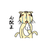 猫又くんはうるさい（個別スタンプ：31）