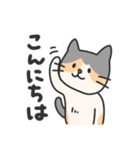 三毛猫うーちゃん（個別スタンプ：2）