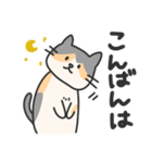 三毛猫うーちゃん（個別スタンプ：4）