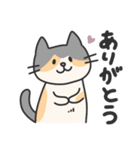 三毛猫うーちゃん（個別スタンプ：5）