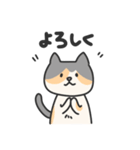 三毛猫うーちゃん（個別スタンプ：7）