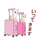 ずっと使える☆あいさつねこのスタンプ（個別スタンプ：11）