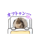 猫の海（個別スタンプ：1）