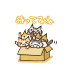 [日常会話・連絡] 猫盛 スタンプ（個別スタンプ：12）