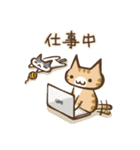 [日常会話・連絡] 猫盛 スタンプ（個別スタンプ：15）