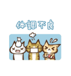 [日常会話・連絡] 猫盛 スタンプ（個別スタンプ：29）